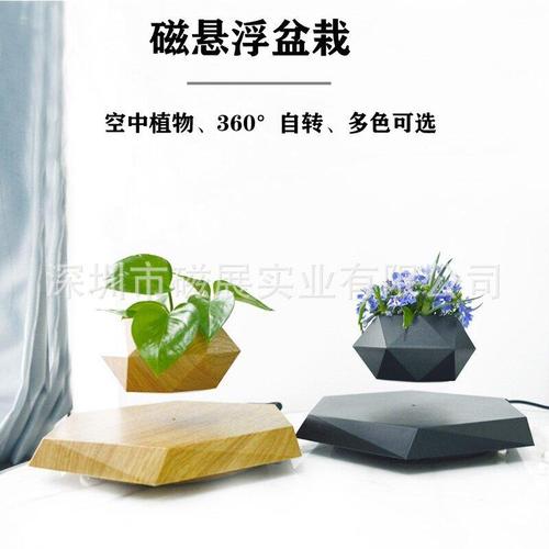 室内绿植盆栽神奇驱蚊香草花卉驱蚊草苗蚊净香草夏天怕蚊子咬最新报价