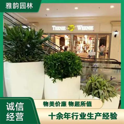 长沙绿植租赁 多样花卉租摆，满足不同风格与需求的绿色方案