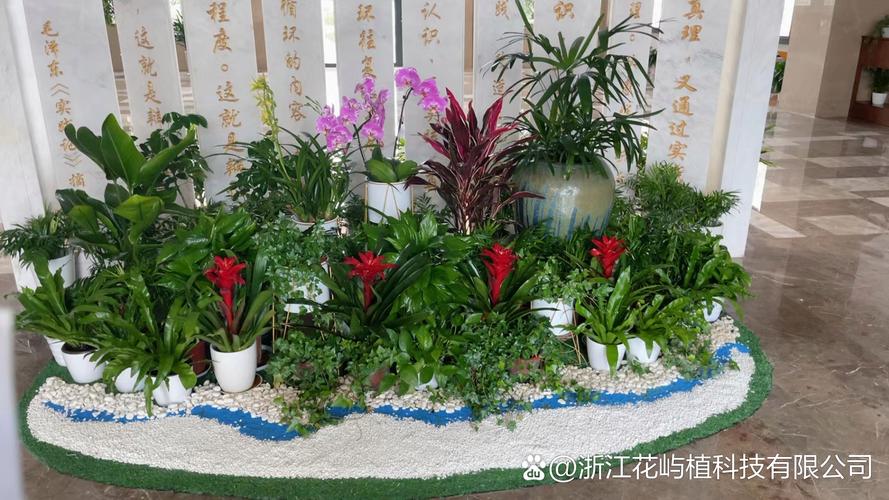 绿意盎然，专业相伴 浙江花屿植科技引领室内外绿化新潮流