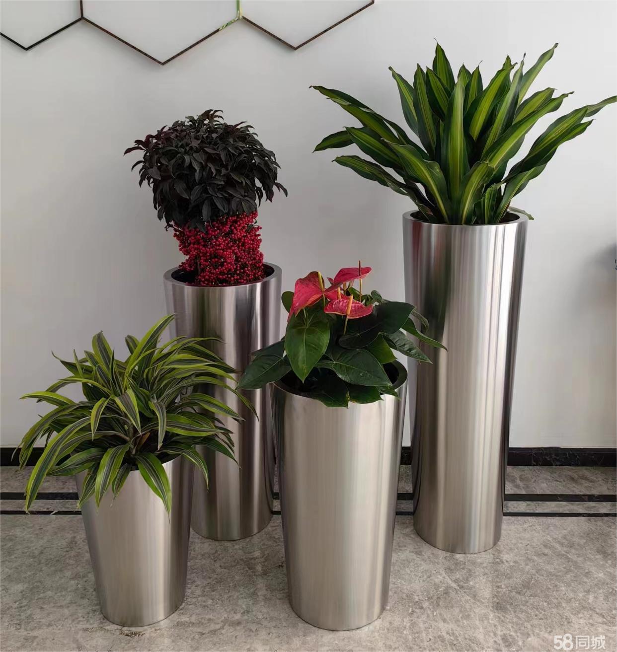 办公室绿植花卉租摆鲜花,花草出租,园林景观公司,销售花园造景,绿化养